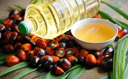 क्यों पाम तेल आम उपभोक्ता के खाने से हो रहा है दूर