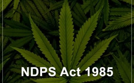 शिमला के सेब कारोबारी के ड्रग्स रैकेट का भंडाफोड़, नाइजीरियाई तस्करों से जुड़े तार