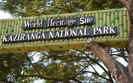 Kaziranga National Park to open for tourists