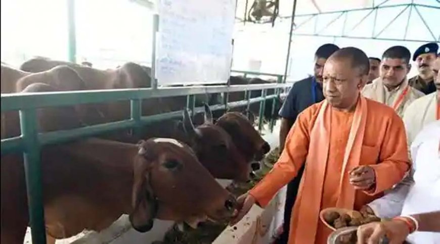 गो-संरक्षण : योगी सरकार ने 27 हजार हेक्टेयर से अधिक गोचर भूमि को कराया कब्जा मुक्त