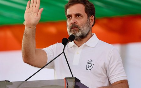 Rahul Gandhi Slams Delhi Police for Detaining Climate Activist and Elderly Citizens at Singhu Border
