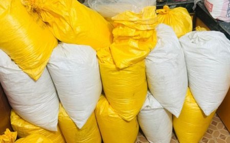 दिल्लीत तब्बल 2 हजार कोटींचे ड्रग्ज जप्त : पोलिसांनी हस्तगत केली 560 किलो कोकेन