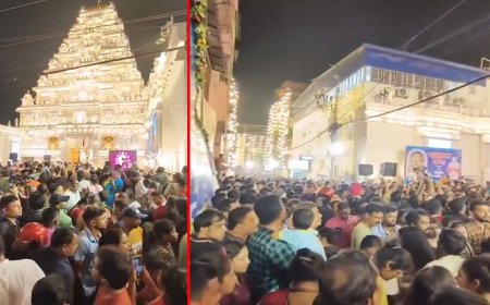 महालय की रात से ही शुरू हुआ पंडाल दर्शन, श्रीभूमि में भारी भीड़