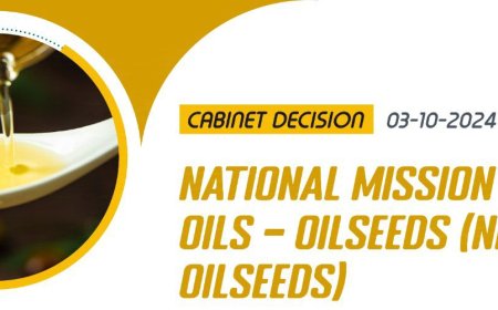 कैबिनेट : 7 सालों में तिलहन उत्पादन में भारत को आत्मनिर्भर बनाने की योजना को मंजूरी