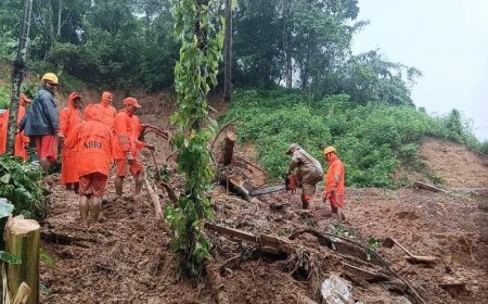7 people killed in Meghalaya landslide, two bodies recovered