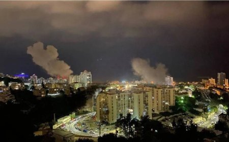 म.प्र. जंगलात वाघाचा संशयास्पद मृत्यू, मेळघाटमधून स्थलांतरित झाल्याची शक्यता