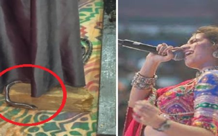 ચાલુ ગરબાના કાર્યક્રમમાં જ્યાં પોલીસ કમિશનર બિરાજમાન હતા ત્યાં જ સાપ નીકળ્યો