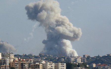 पाकिस्तान ने लेबनान में फंसे अपने 67 नागरिक सुरक्षित निकाले