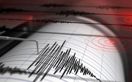 Earthquake of 4.6 magnitude hits many parts of Assam, Bhutan