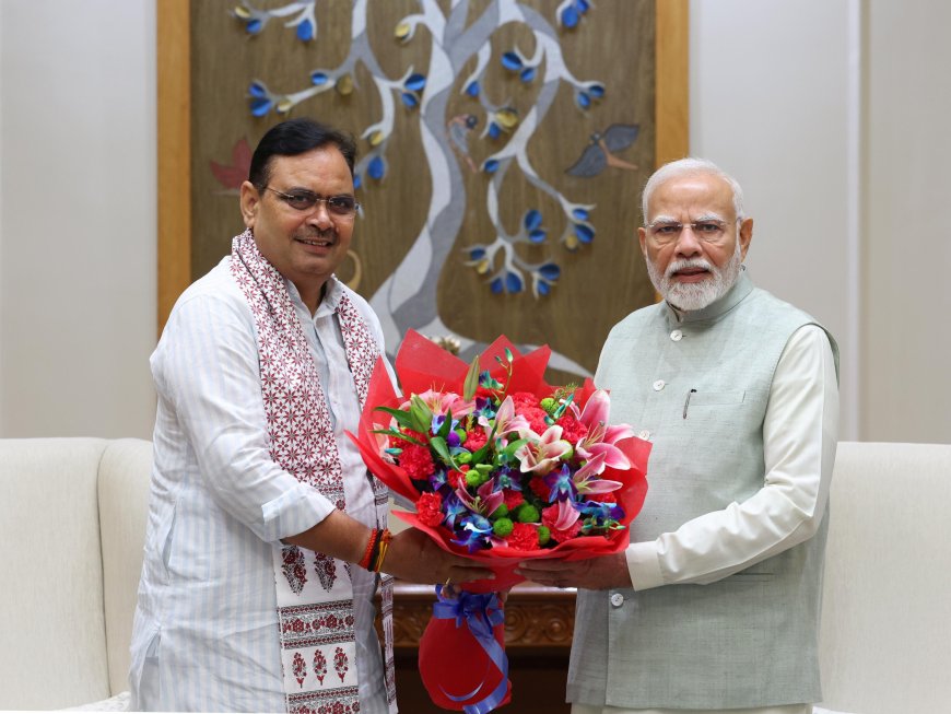 Rajasthan Chief Minister Meets Prime Minister
