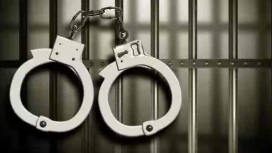पालघर पुलिस ने ₹15 लाख से अधिक मूल्य के प्रतिबंधित तंबाकू उत्पाद जब्त किए, एक व्यक्ति गिरफ्तार