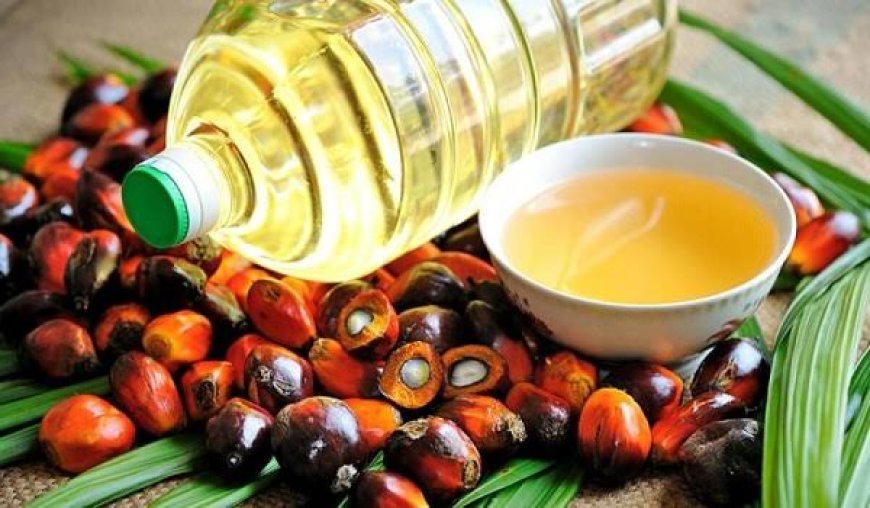 लगातार एकतरफा तेजी के बाद बीते सप्ताह पाम तेल के दाम में 8% से अधिक की गिरावट
