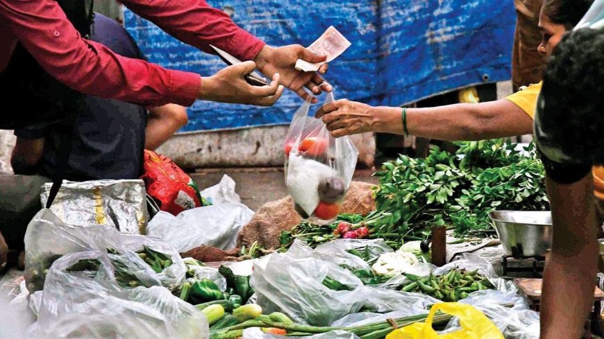 मीरा-भायंदर: प्लास्टिक पर कार्रवाई तेज; एक साल में 1,300 किलो प्लास्टिक जब्त