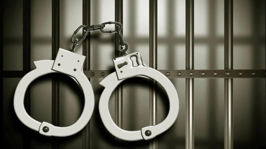 मीरा भायंदर : तंबाकू युक्त हुक्का सर्व करने वाले रेस्टोरेंट पर छापा, 2 लोग गिरफ्तार, 14 ग्राहक हिरासत में
