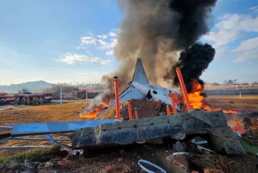 Plane Skids off Runway in South Korea, 28 Passengers Dead, Death Toll Likely to Rise