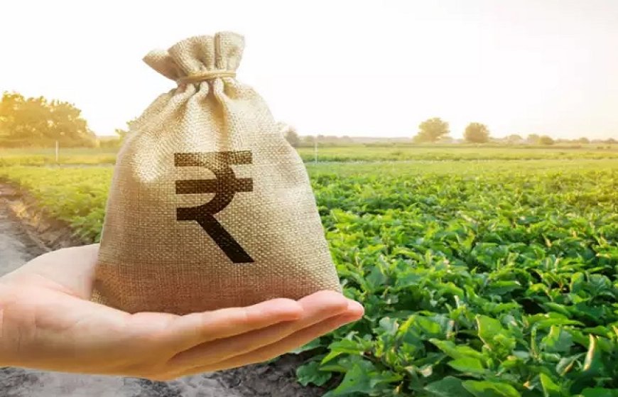 देश का तंबाकू निर्यात पांच वर्ष में बढ़कर 12,005 करोड़ रुपये के रिकॉर्ड स्तर पर