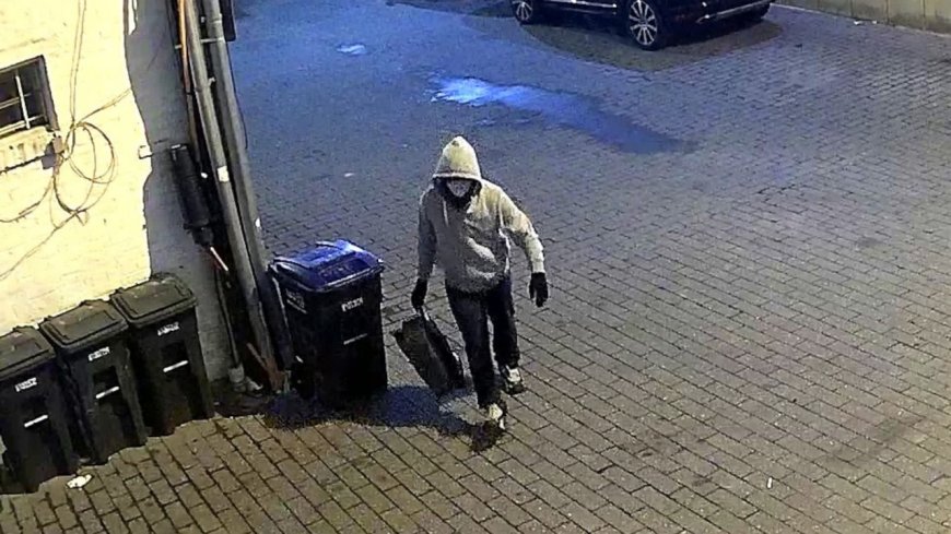 FBI Releases New Video in Search for January 6 Pipe Bomb Suspect