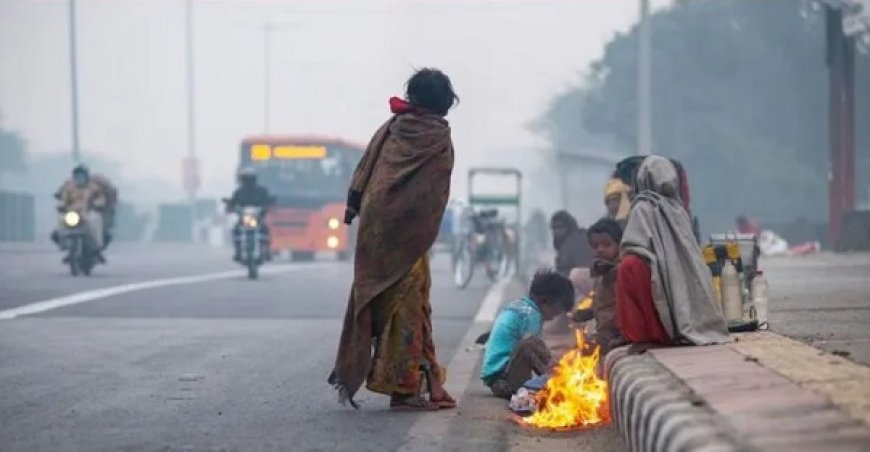 मध्य प्रदेश में मंगलवार से शुरू होगा कड़ाके की ठंड का दूसरा दौर, 12 जनवरी को बारिश के आसार - आज ग्वालियर-रीवा संभाग के शहरों में घने कोहरे का ऑरेंज अलर्ट