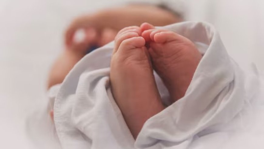 Tragedy in Malad: Newborn Found Dead in Pit Near Construction Site
