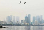 Bombay High Court Says Mumbai’s Air Pollution Linked To Neighbouring Cities, Seeks Regional Solutions