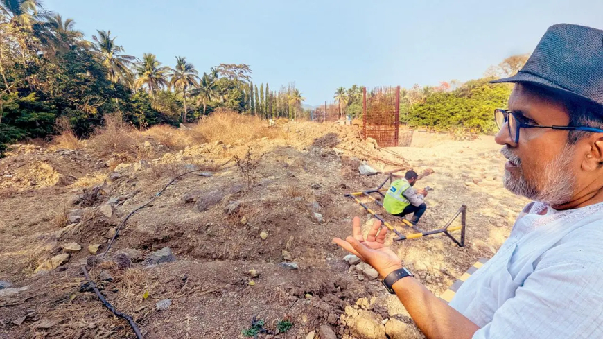Bullet Train Project Disrupts Dahanu Farmers: Stray Cattle, Debris, and Lost Crops