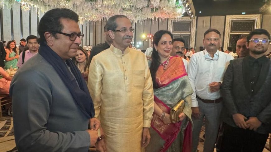 राज ठाकरे और उद्धव ठाकरे की मुलाकात: मुंबई शादी में राजनीतिक अटकलें तेज