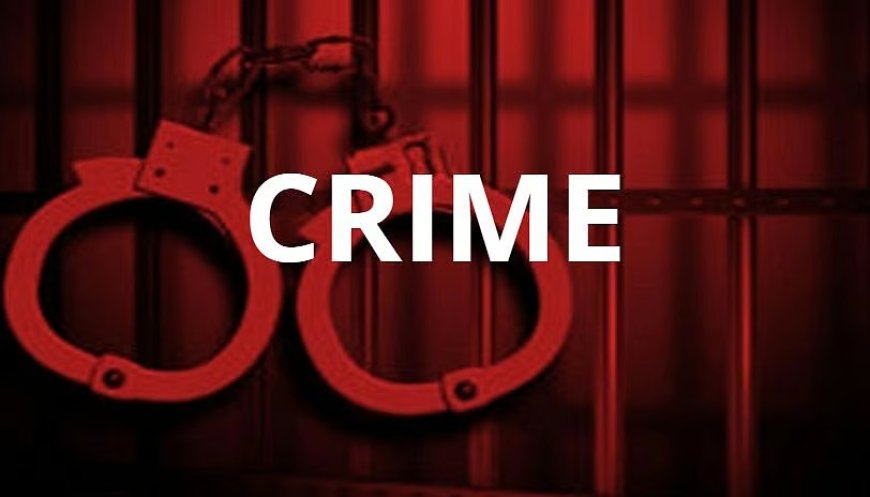 पालघर: महिला विवाद ने आचोले पुलिस स्टेशन में मचाया हंगामा; 10 पर मामला दर्ज
