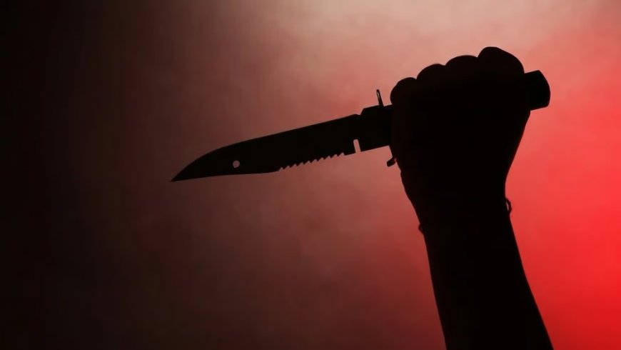 बोरीवली में मां ने दिखाई बहादुरी: बेटे को बचाते हुए महिला घायल, आरोपी हिरासत में