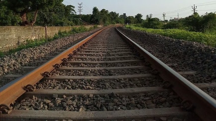 Kalwa Man Dies After Falling Off Local Train Near Dombivli