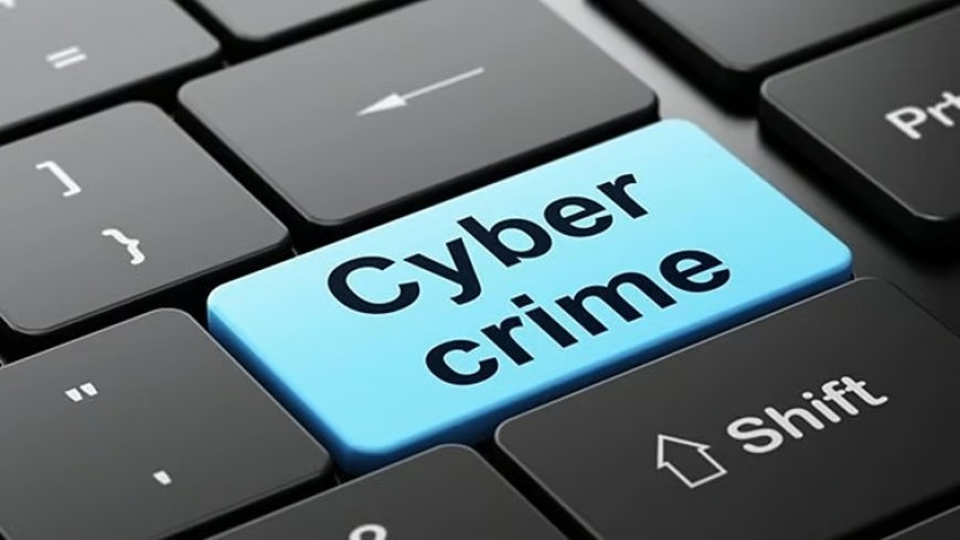 Palghar Crime News: Vasai Woman Duped of ₹1 Crore in Share Investment Scam