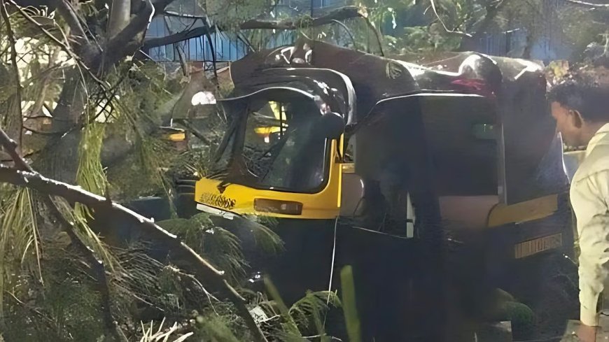 मुंबई : कल्याण में रिक्शा पर पेड़ गिरने से रिक्शा चालक और डब्बावाले की मौत, परिवार ने मांगी आर्थिक मदद