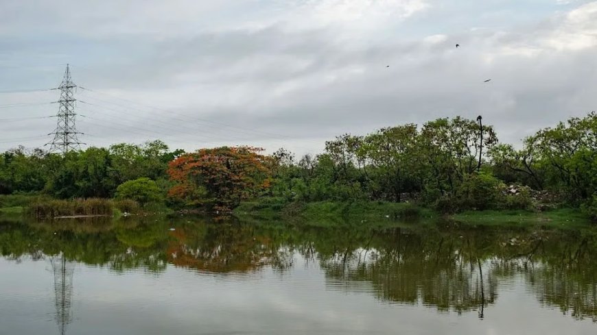After Six Years of Citizen Activism, Lokhandwala Lake Cleanup Finally Begins
