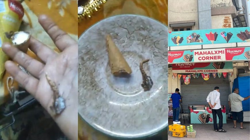 ગુજરાતમાં હળાળો ઘટના: હાવમોર આઈસક્રીમ કોનમાંથી મળ્યો કાપેલો ગોંતરીનો પૂંછડો, મહિલાની તબિયત બગડી; AMCએ લાઈસન્સ વિહોણું સ્ટોર સીલ કર્યું