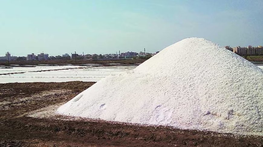 मिरा-भाईंदरमध्ये मीठ शेती संकटात; उत्पादनात ६६ टक्के घट