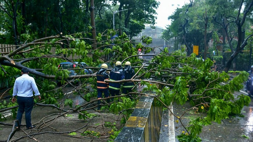 Mumbai Monsoon Fury: 45 Trees Uprooted, 25 Fires Reported as Heavy Rains Cripple City