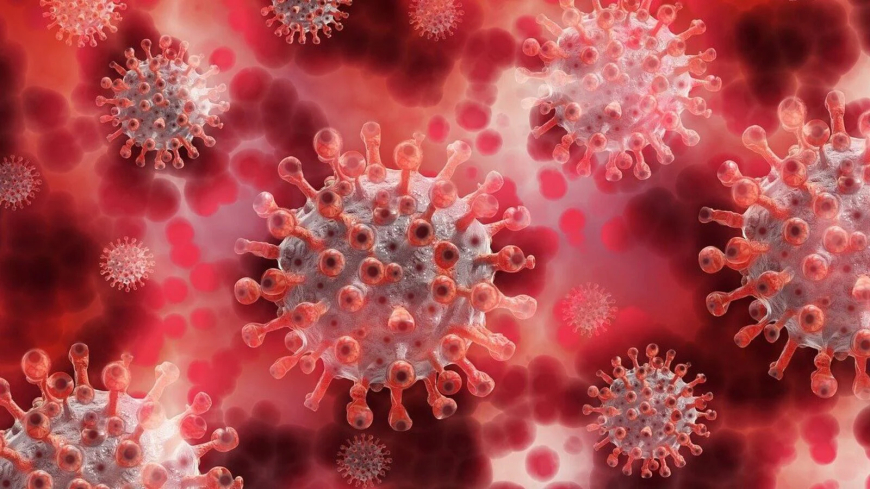 COVID-19 Cases in Maharashtra See Modest Rise: Mumbai Reports 27 New Infections