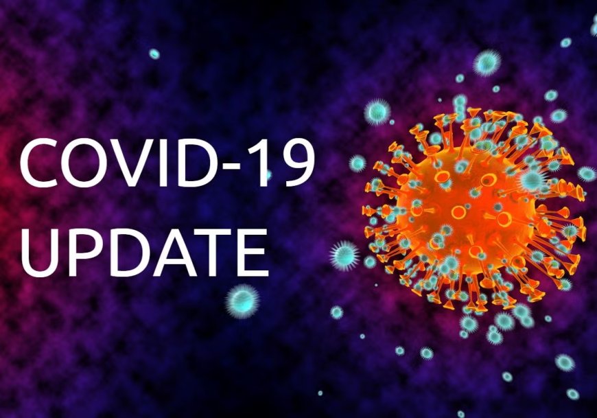 India Records 2,710 Active COVID-19 Cases; Kerala Tops the List With Rising Numbers