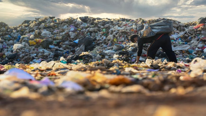 UP Mobilizes 22,000 Schools for World Environment Day Drive to Fight Plastic Pollution