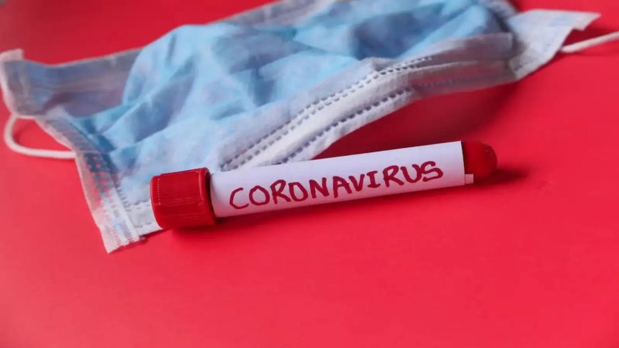Maharashtra COVID-19 Update: Rise in Mild Cases, 10 Deaths Among Elderly Diabetics Since Mid-May