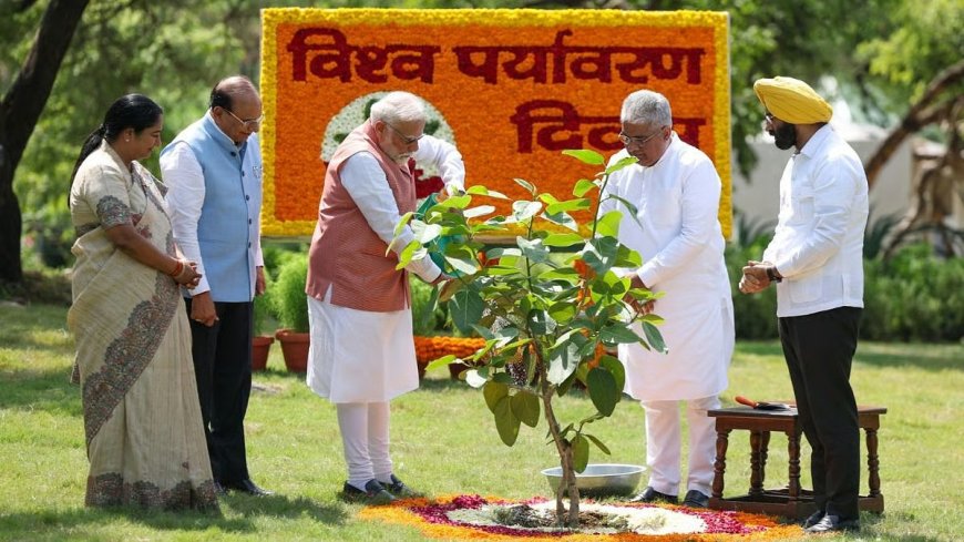 विश्व पर्यावरण दिवस पर पीएम मोदी ने किया 'अरावली ग्रीन वॉल परियोजना' का शुभारंभ, 'एक पेड़ मां के नाम' अभियान का विस्तार