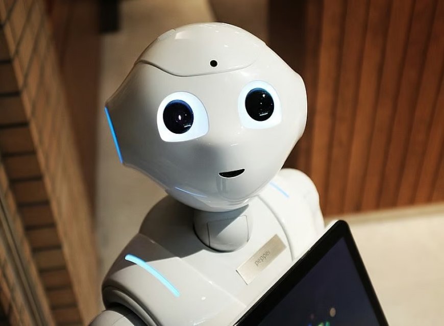 Humanoid Robots to Reshape Job Market, Says OpenAI CEO Sam Altman