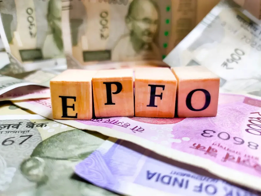 EPFO Adds 19.14 Lakh Members in April 2025, Sees Surge in Female and Young Subscribers
