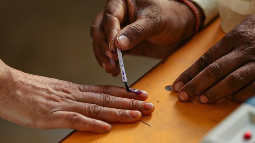 विधानसभा उपचुनाव परिणाम 2025: गुजरात में भाजपा आगे, पंजाब में आप की वापसी, केरल में कांग्रेस को बढ़त, बंगाल में टीएमसी का दबदबा