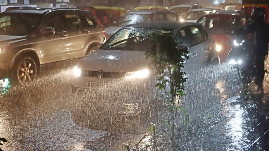 Heavy Rains Forecast Across Maharashtra, Orange Alert Issued for Several Districts