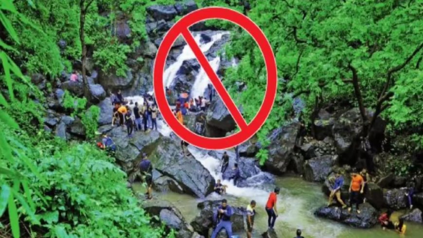 वसईतील पर्यटनस्थळांवर बंदी लागू; पावसाळ्यातील दुर्घटनांना आळा घालण्यासाठी पोलिसांचे पाऊल