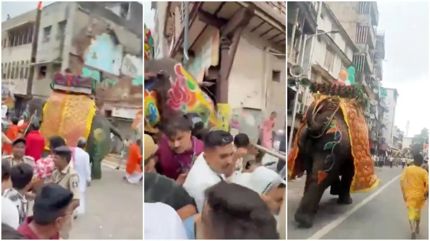 अहमदाबाद रथ यात्रा में मची अफरातफरी: हाथियों के बेकाबू होने से भगदड़, भक्तों में दहशत