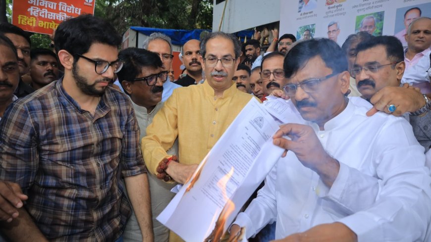 MVA Protests Rock Day 1 of Maharashtra Assembly Monsoon Session Over Hindi 'Imposition' Row