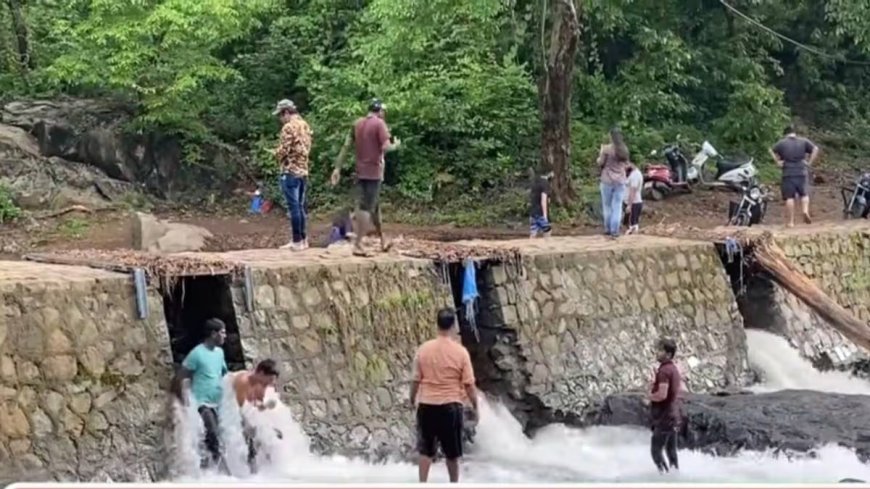 तुंगारेश्वर अभयारण्यात धबधब्यांच्या ठिकाणी पर्यटकांना प्रवेशबंदी