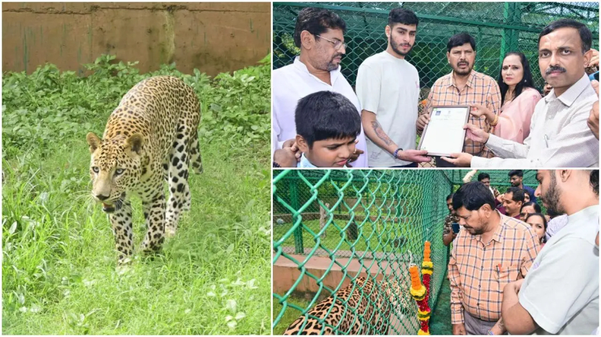केंद्रीय मंत्री रामदास अठावले ने संजय गांधी राष्ट्रीय उद्यान में ‘सिंबा’ नामक तेंदुए को लिया गोद