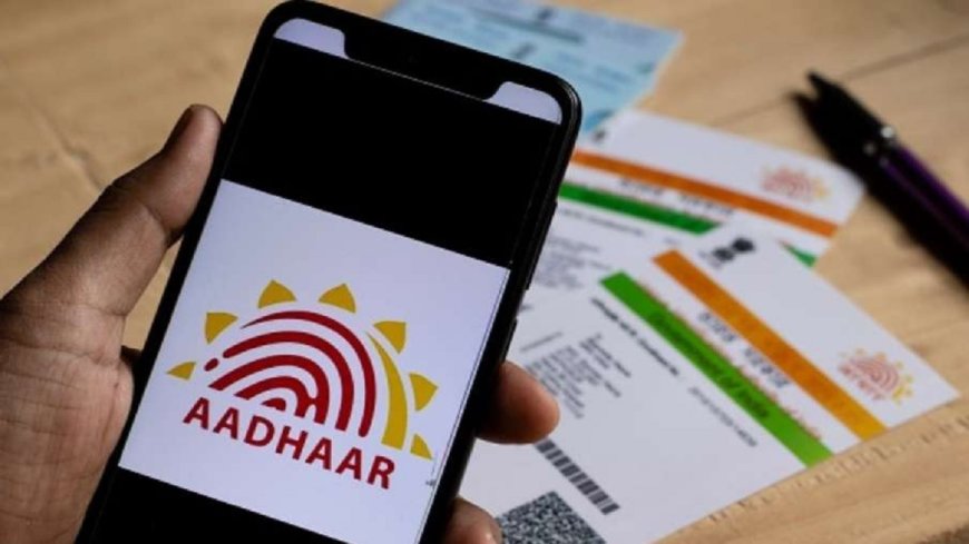 Millions Dead, Aadhaar Still Active: RTI Reveals Just 1.15 Crore Cards Deactivated in 14 Years